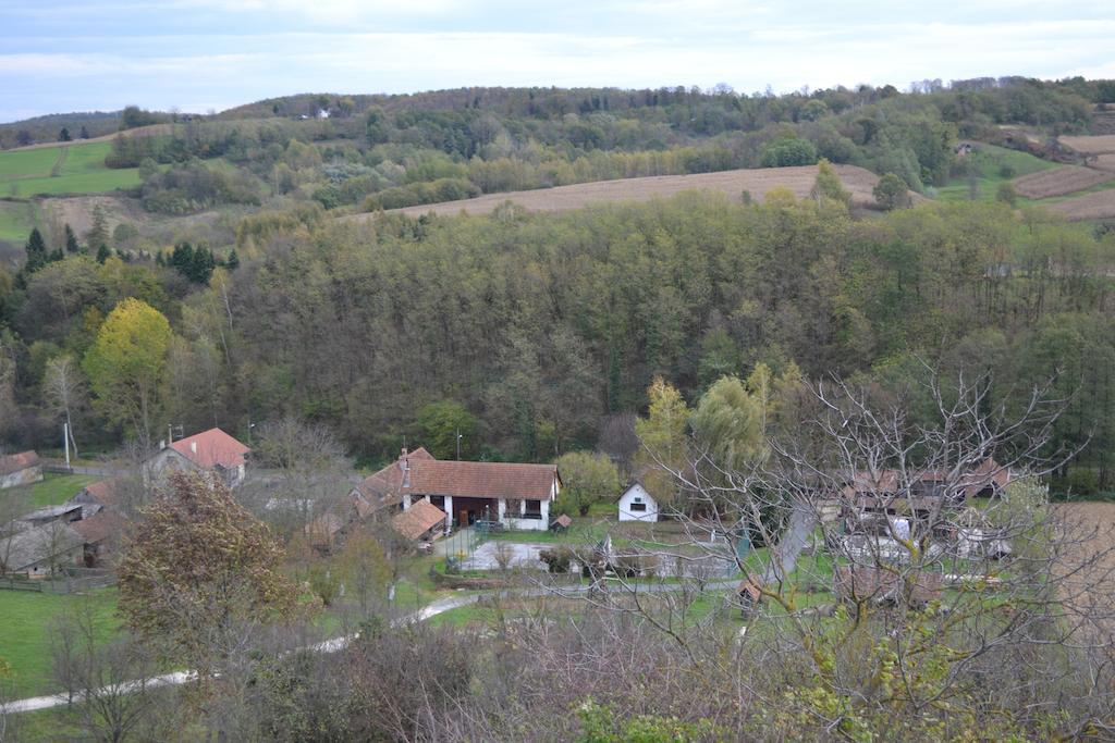 Guest House Suncano Selo Jagnjedovec Rom bilde